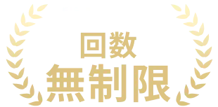 質問・添削回数無制限